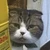 たたろま