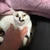 Uすけ
