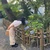る