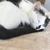 かっか