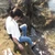 貴帆