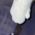 userASLfDxDVJAv
