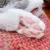 ねこねず