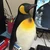 さいこー