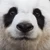 きくりんご