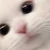 きらら