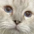 えむ