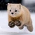 リョウ