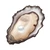 Oyster