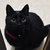 ゆーき