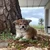まり
