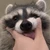 たぬー