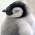 まり