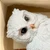 やまだ