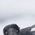 ヴィキネア