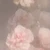 桃