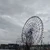 かる