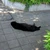 かえで