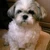 michie