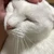 ひな