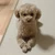 ルル犬