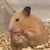 てつ