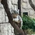 koala0865