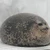 よこ