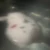 吉田縫