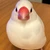 さたん