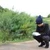 ひなた