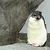 タク