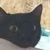 えいじ
