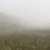 fog