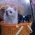 Hiroko