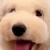 べびたろ