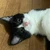 づっきー