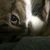 たくや
