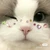 ひまり