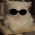 無愛想な猫