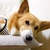 さき