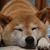 らっち