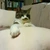 のだ