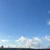 ガチョ