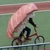 sushi_is_run