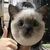 かんた