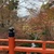 クオン