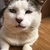 うーぺ