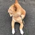 けー