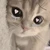 ぬん